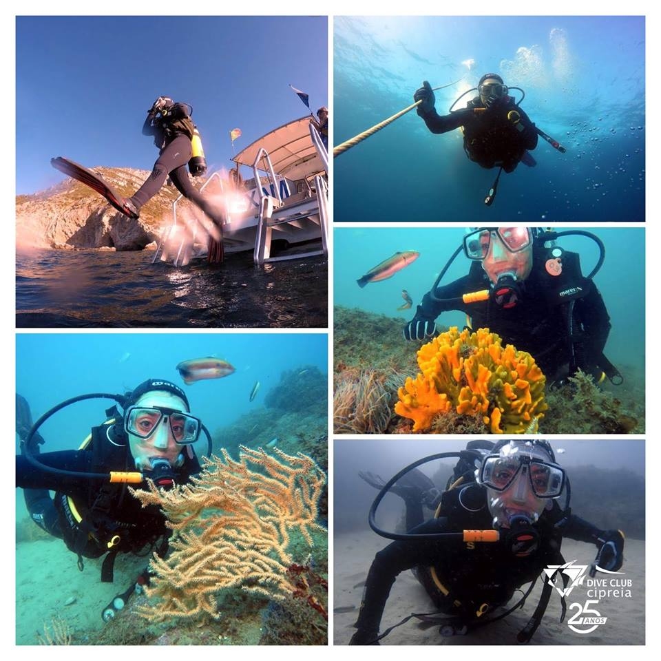 Scuba diving Lagos - Algarve Yacht Cruise